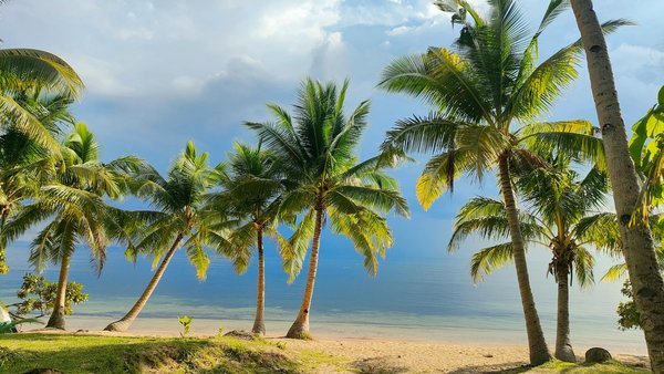 Quelle croisière permet de participer à des ateliers de fabrication de cerfs-volants en Asie?