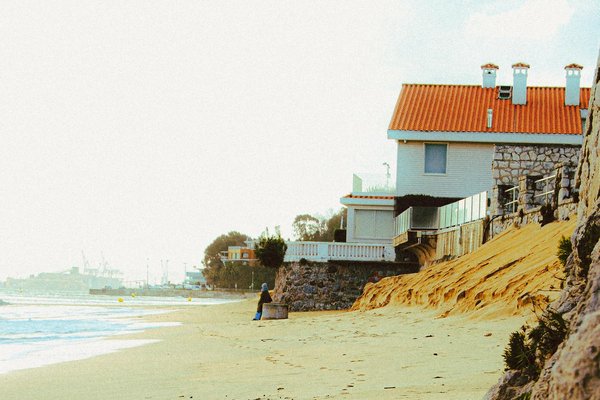 Quels sont les meilleurs spots pour observer les oiseaux endémiques dans les forêts de Bornéo?