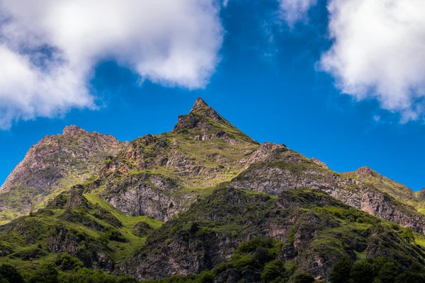 Quelles croisières offrent des ateliers de fabrication de papiers artisanaux en Thaïlande?